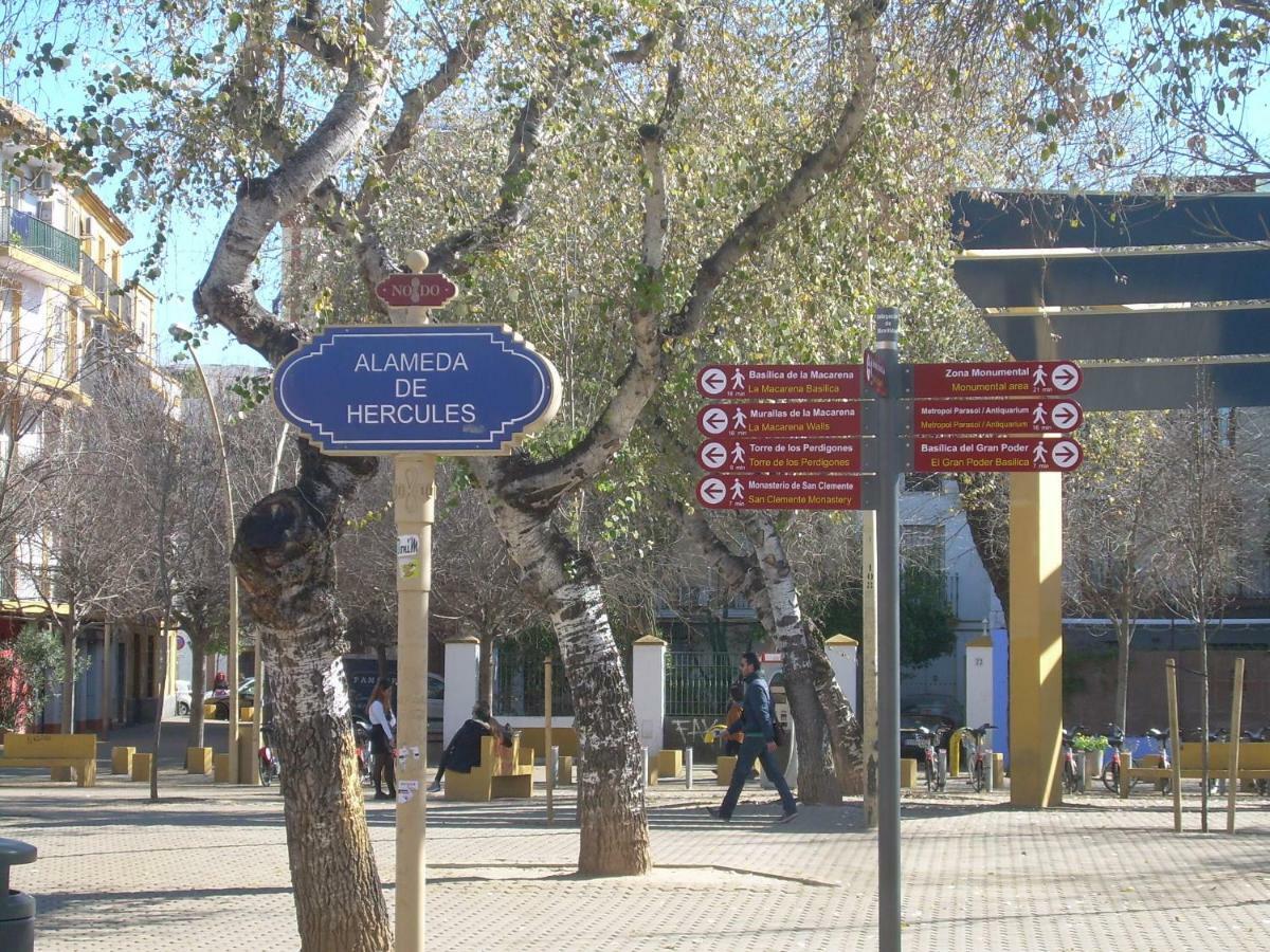 Medina Apartment And Parking Historical Center Σεβίλλη Εξωτερικό φωτογραφία